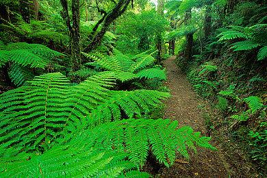 经典名作《风雨来记》登陆Steam 温馨风景游记冒险